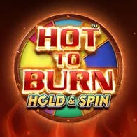 Hot to Burn Hold and Spin game screenshot